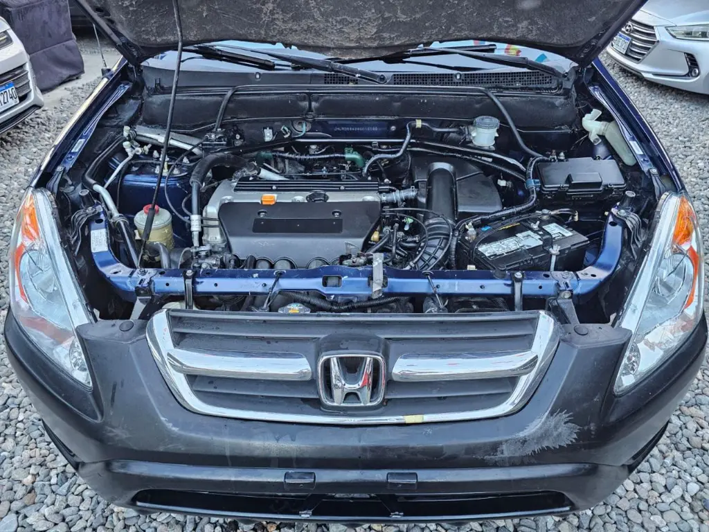 WhatsApp Image 2026-04-07 at 10.28.26 AM.webp