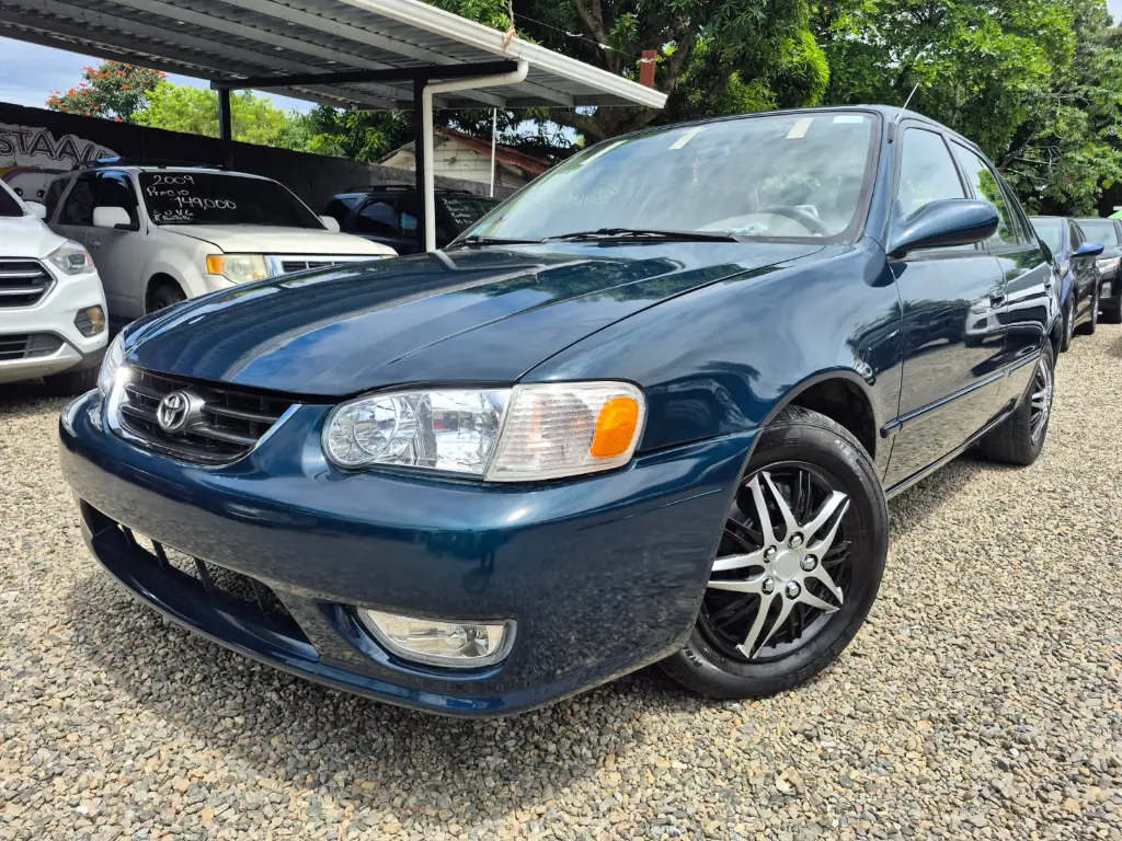 WhatsApp Image 2026-04-07 at 11.31.32 AM.webp