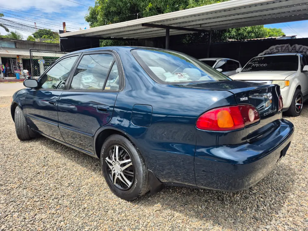 WhatsApp Image 2026-04-07 at 11.31.32 AM (2).webp