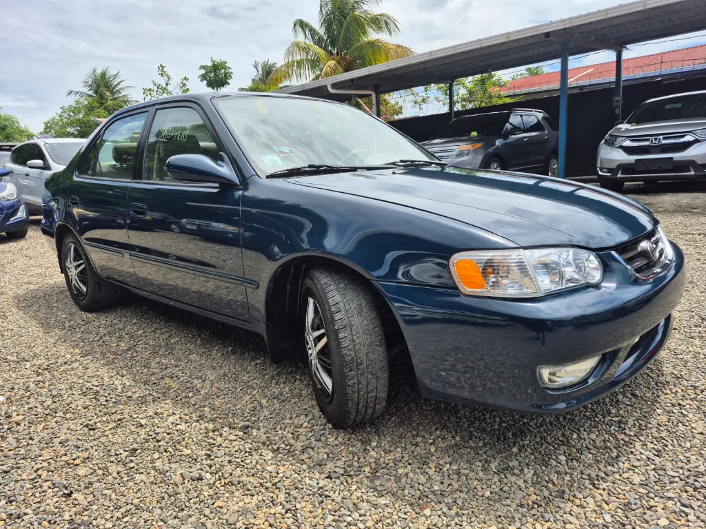 WhatsApp Image 2026-04-07 at 11.31.33 AM (4).webp