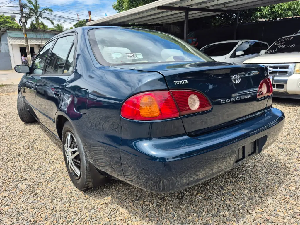 WhatsApp Image 2026-04-07 at 11.31.33 AM.webp