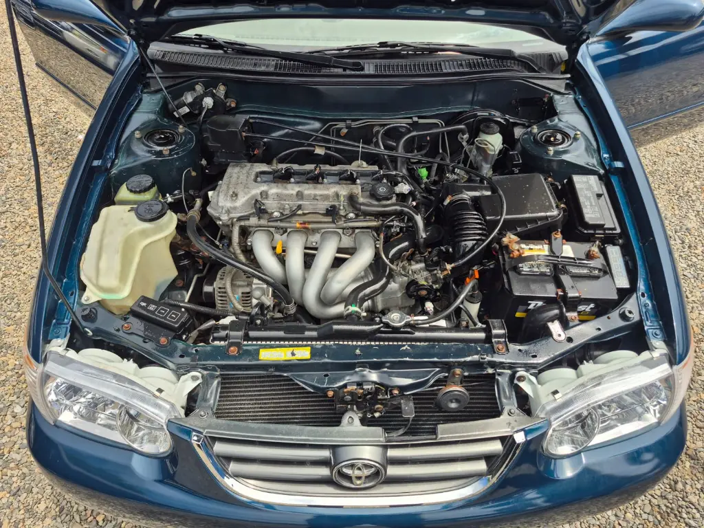 WhatsApp Image 2026-04-07 at 11.31.36 AM.webp