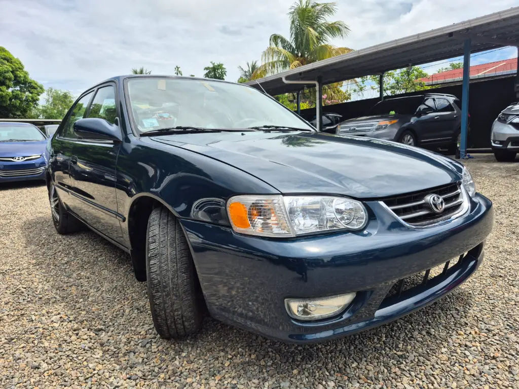 WhatsApp Image 2026-04-07 at 11.31.34 AM.webp