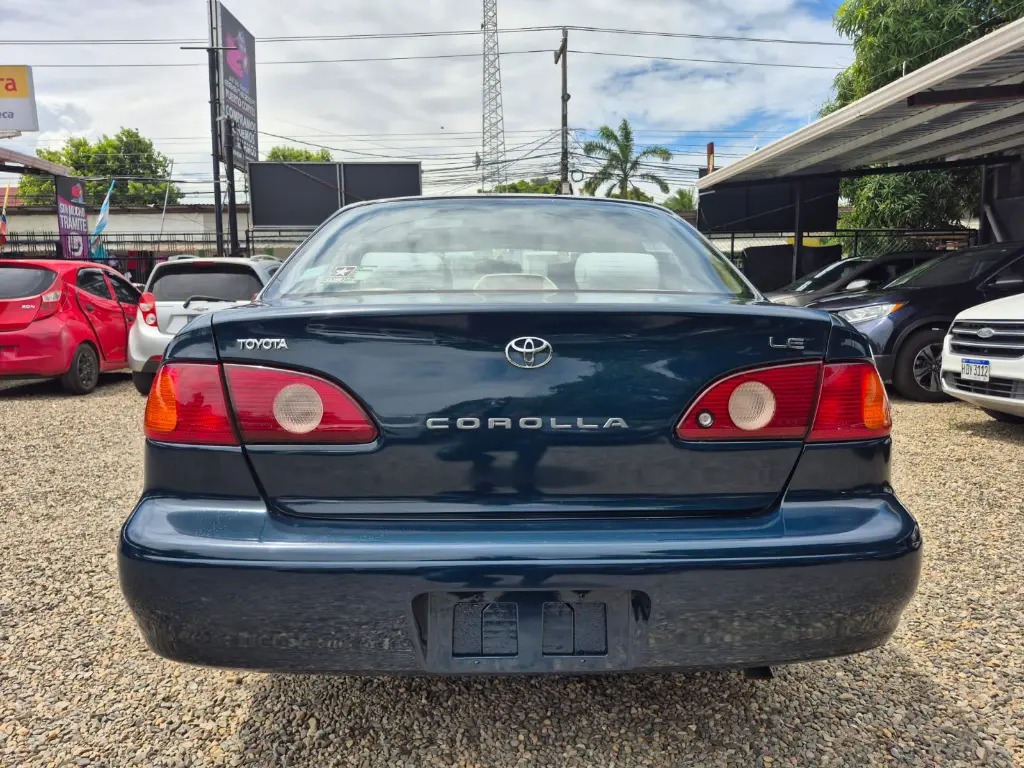 WhatsApp Image 2026-04-07 at 11.31.33 AM (1).webp