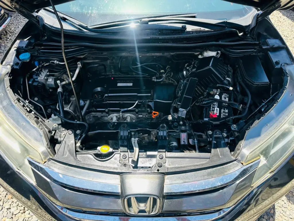 WhatsApp Image 2026-04-11 at 12.35.34 PM (1).webp