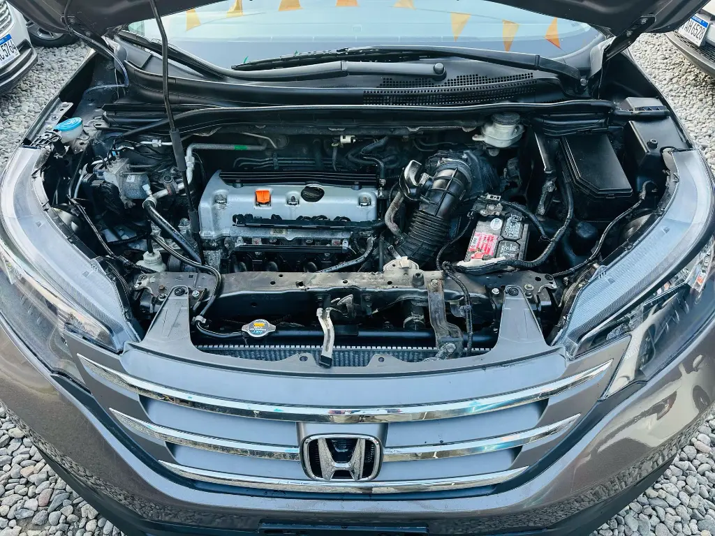 WhatsApp Image 2025-02-24 at 2.43.26 PM (6).webp