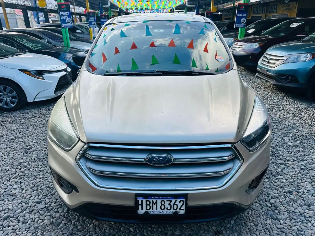 WhatsApp Image 2025-02-08 at 3.27.10 PM (1).webp