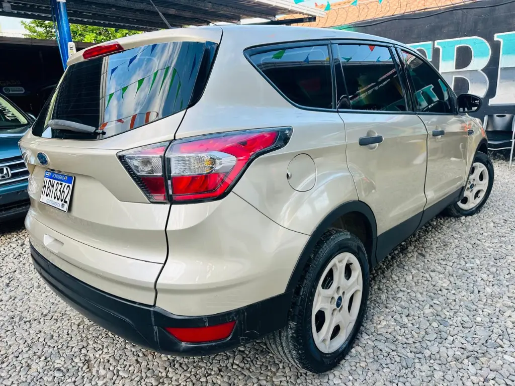 WhatsApp Image 2025-02-08 at 3.27.09 PM (1).webp