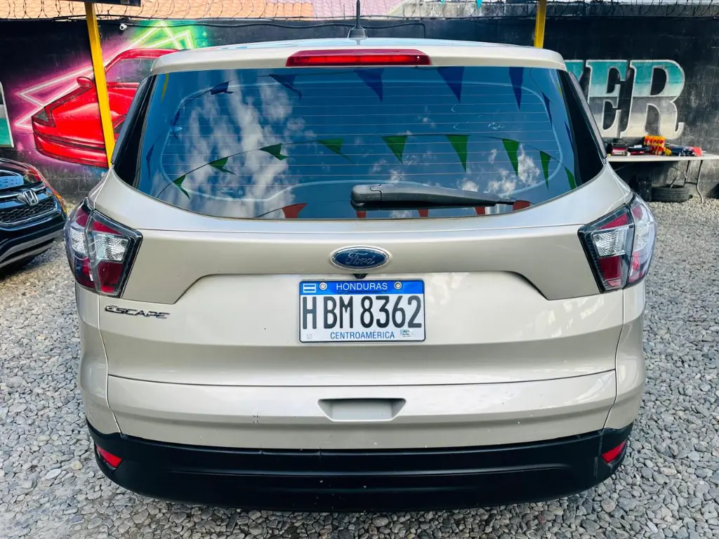 WhatsApp Image 2025-02-08 at 3.27.11 PM (1).webp