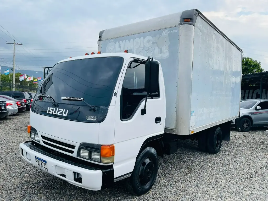 Isuzu Npr Blanco 2002 Mecanico